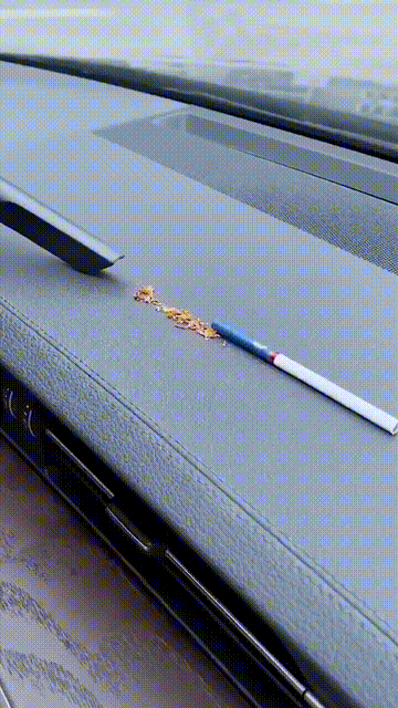 Portable Vacuum Cleaner