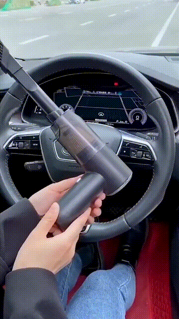 Portable Vacuum Cleaner