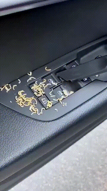 Portable Vacuum Cleaner