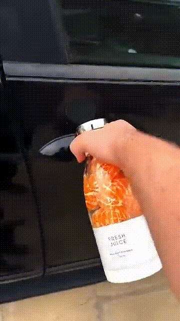 Portable Mini Juice Blender